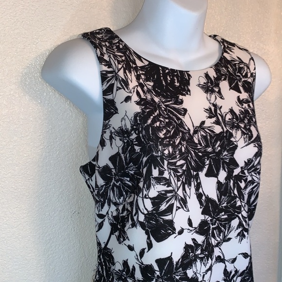 SLNY SL New York sleeveless sheath, cream, black roses, laser cut trim. 8 EUC - Picture 5 of 17
